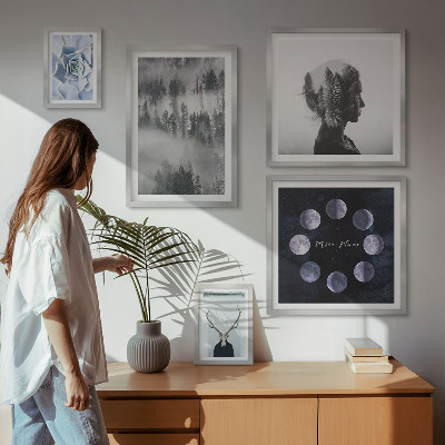 Conjunto de 5 quadros com moldura Motivos espaciais de floresta natural