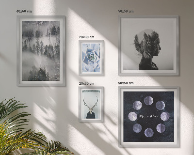 Conjunto de 5 quadros com moldura Motivos espaciais de floresta natural