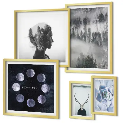 Conjunto de 5 quadros com moldura com motivos de floresta natural espacial