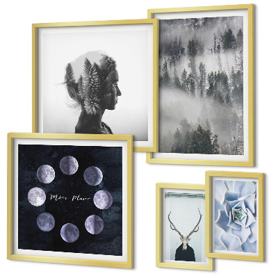 Conjunto de 5 quadros com moldura Motivos espaciais de floresta natural