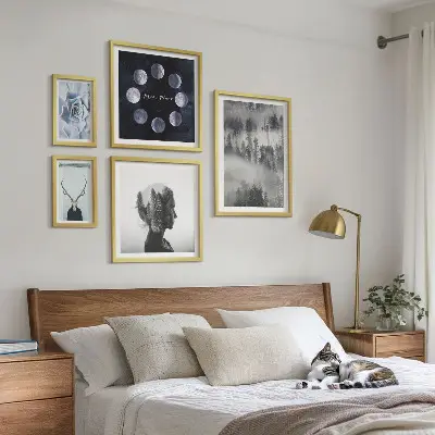 Conjunto de 5 quadros com moldura com motivos de floresta natural espacial