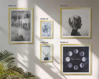 Conjunto de 5 quadros com moldura com motivos de floresta natural espacial