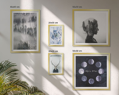 Conjunto de 5 quadros com moldura Motivos espaciais de floresta natural