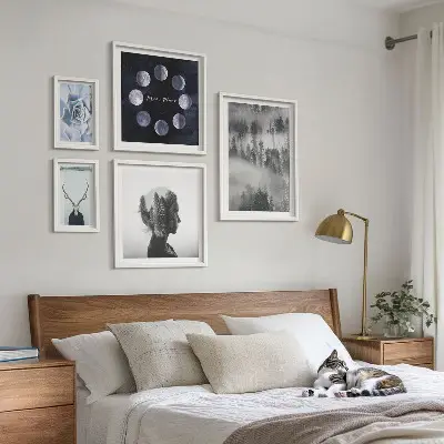 Conjunto de 5 quadros com moldura com motivos de floresta natural espacial