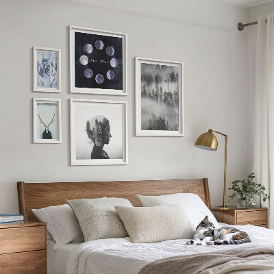 Conjunto de 5 quadros com moldura Motivos espaciais de floresta natural