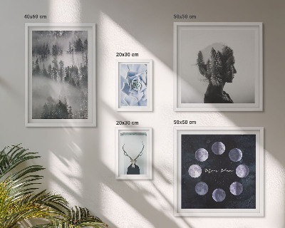 Conjunto de 5 quadros com moldura Motivos espaciais de floresta natural