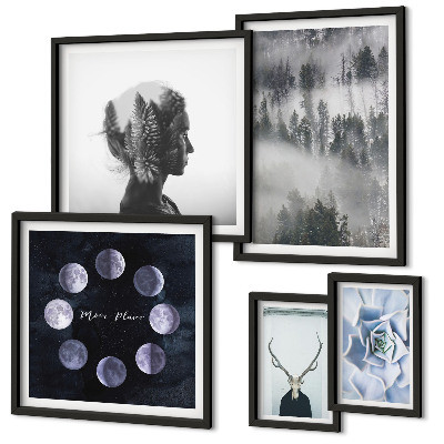 Conjunto de 5 quadros com moldura Motivos espaciais de floresta natural