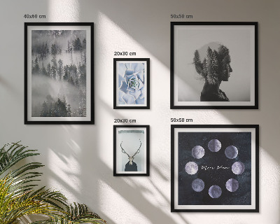 Conjunto de 5 quadros com moldura Motivos espaciais de floresta natural