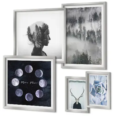 Conjunto de 5 quadros com moldura com motivos de floresta natural espacial