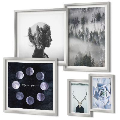 Conjunto de 5 quadros com moldura Motivos espaciais de floresta natural