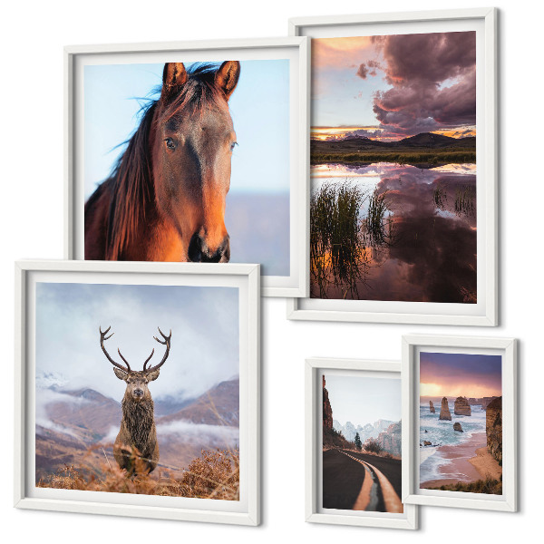 Galeria de parede A beleza natural das paisagens