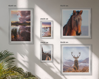 Galeria de parede A beleza natural das paisagens