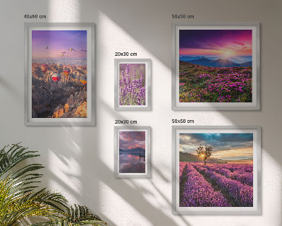 Conjunto de 5 quadros com moldura paisagem de balões de lavanda