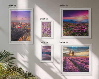 Conjunto de 5 quadros com moldura paisagem de balões de lavanda