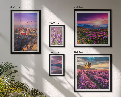Conjunto de 5 quadros com moldura paisagem de balões de lavanda