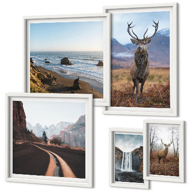 Galeria de parede Natureza animais selvagens paisagens