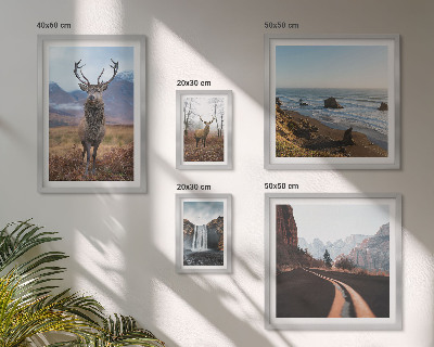Galeria de parede Natureza animais selvagens paisagens