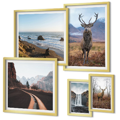 Galeria de parede Natureza animais selvagens paisagens