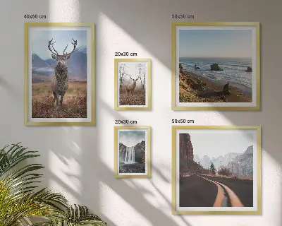 Galeria de parede com temática de natureza, animais selvagens e paisagens