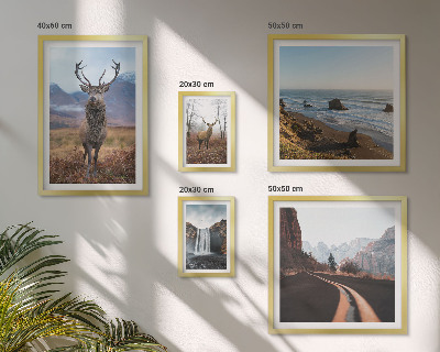 Galeria de parede Natureza animais selvagens paisagens