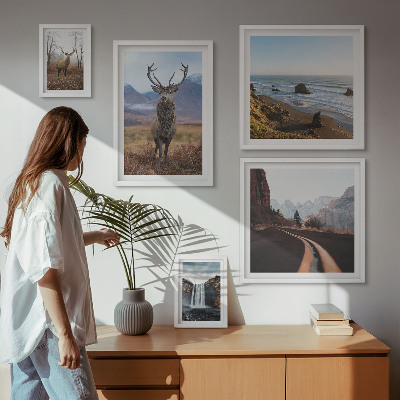 Galeria de parede Natureza animais selvagens paisagens