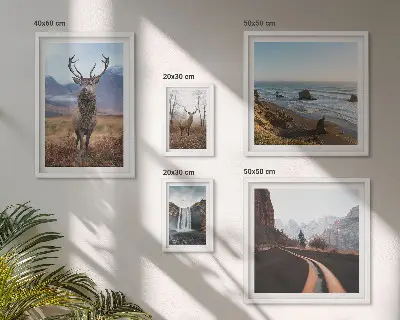 Galeria de parede com temática de natureza, animais selvagens e paisagens