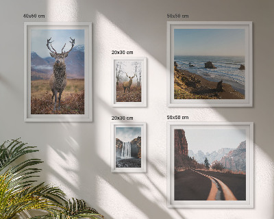 Galeria de parede Natureza animais selvagens paisagens