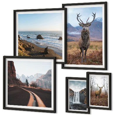 Galeria de parede Natureza animais selvagens paisagens