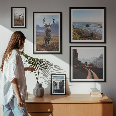 Galeria de parede Natureza animais selvagens paisagens