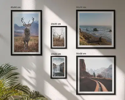 Galeria de parede com temática de natureza, animais selvagens e paisagens