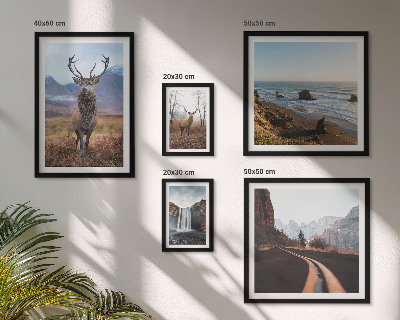 Galeria de parede Natureza animais selvagens paisagens