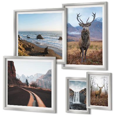 Galeria de parede Natureza animais selvagens paisagens