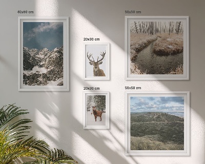 Parede galeria de quadros natureza selvagem montanhas majestosas