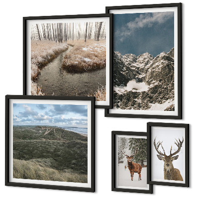 Parede galeria de quadros natureza selvagem montanhas majestosas