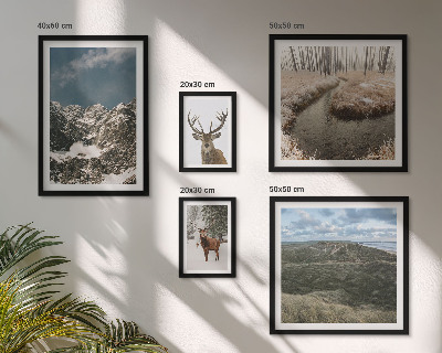 Parede galeria de quadros natureza selvagem montanhas majestosas