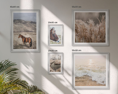 Conjunto de 5 quadros com moldura Paisagens com cavalos e água