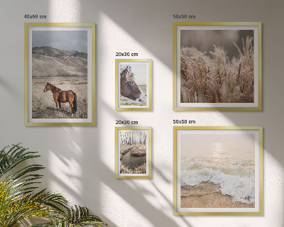 Conjunto de 5 quadros com moldura Paisagens com cavalos e água