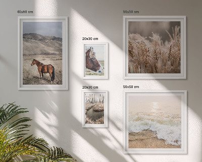 Conjunto de 5 quadros com moldura Paisagens com cavalos e água