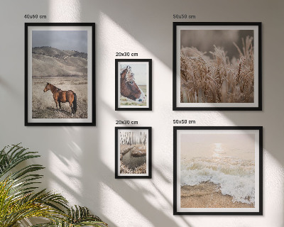 Conjunto de 5 quadros com moldura Paisagens com cavalos e água