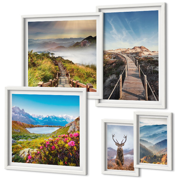 Conjunto de 5 quadros decorativos Paisagens de montanhas e florestas selvagens