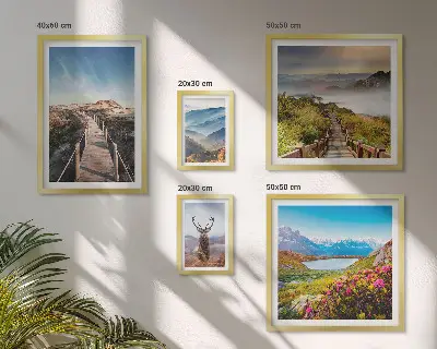 Conjunto de 5 quadros decorativos com paisagens de montanhas e florestas selvagens