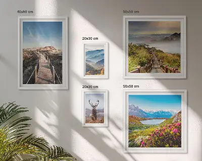 Conjunto de 5 quadros decorativos com paisagens de montanhas e florestas selvagens