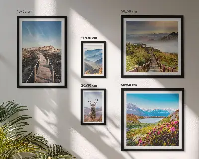 Conjunto de 5 quadros decorativos com paisagens de montanhas e florestas selvagens