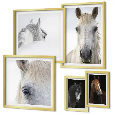 Galeria de quadros de parede com retratos de cavalos em estilos artísticos