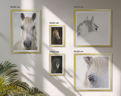Parede galeria de quadros Retratos de cavalos em estilos artísticos