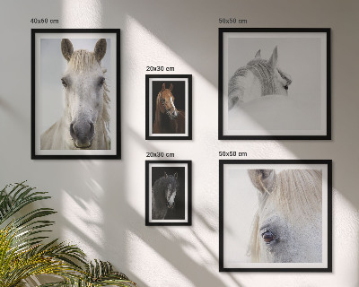 Parede galeria de quadros Retratos de cavalos em estilos artísticos