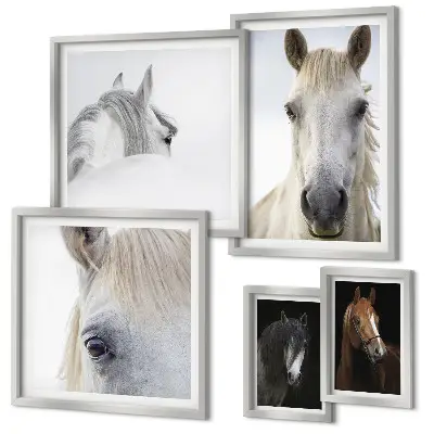 Galeria de quadros de parede com retratos de cavalos em estilos artísticos