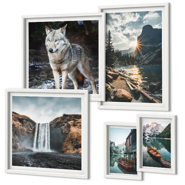 Conjunto de 5 quadros com moldura com estampas de paisagens da natureza e vida selvagem