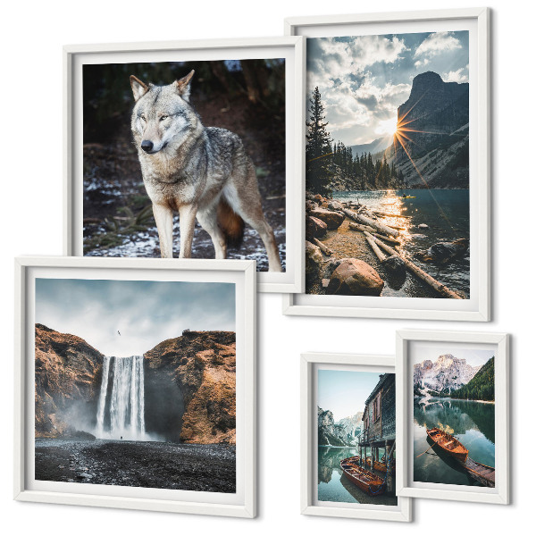 Conjunto de 5 quadros com moldura Paisagens da natureza e da vida selvagem