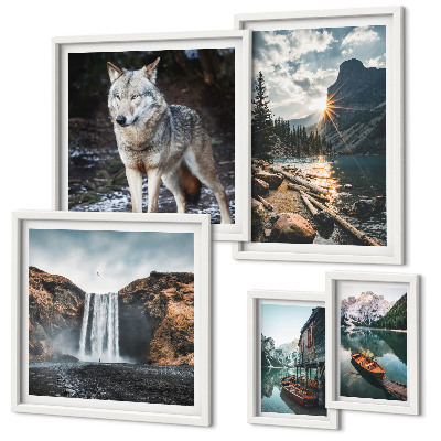 Conjunto de 5 quadros com moldura Paisagens da natureza e da vida selvagem